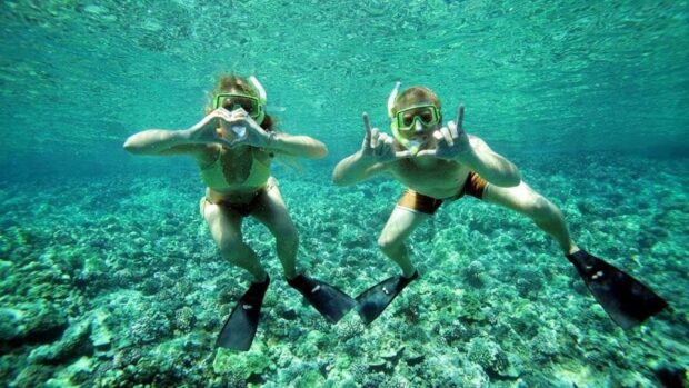 molokini snorkel catamaran