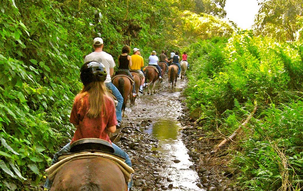 Horseback Riding Guide for the Big Island: Tours + Information