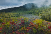 Hualalai craters and cloud forest