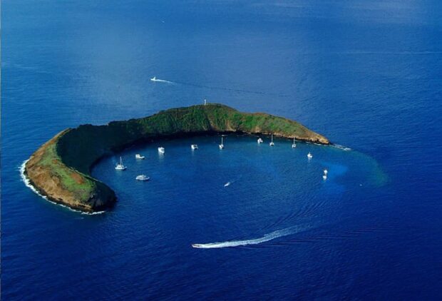 molokini snorkel tour catamaran