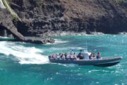 The custom-built, rigid-hull inflatables (RHIB’s) were designed for getting you to the Napali Coast in record time from Hanalei. Image: Holoholo Charters.