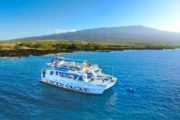 catamaran, hawaii, aerial, body glove