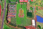 The Dole Plantation Pineapple Maze