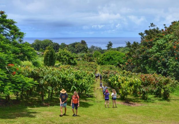 farm tours hawaii big island