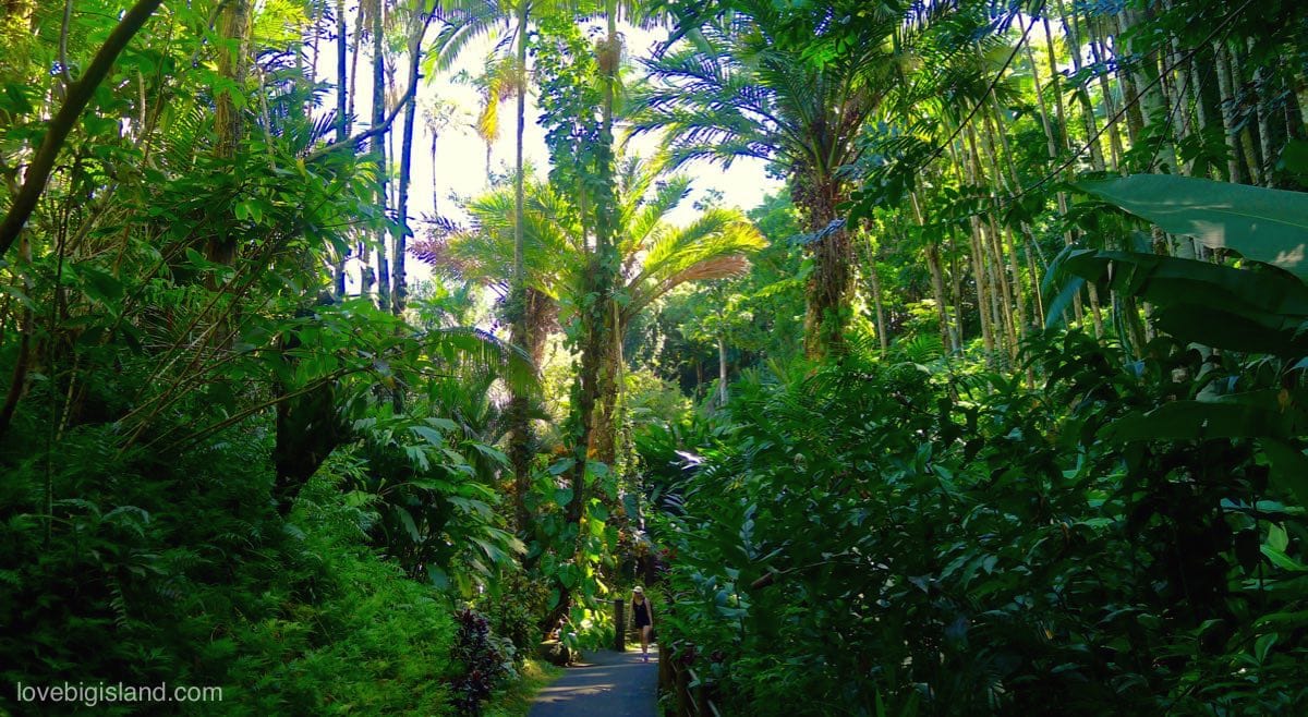 Best Botanical Gardens On The Big Island Hawai I List Map