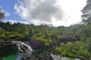 Waterfalls close to Hilo