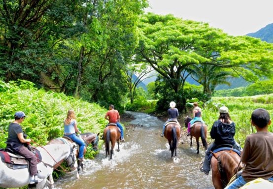 All Horseback Riding Tours on the Big Island, compared (2024)