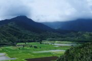 the Hanalei National Wildlife Refuge