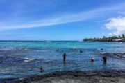 people snorkeling at Kahalu'u bay