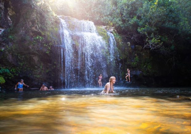 Kohala Zip & Dip adventure in North Kohala (Combo Tour / 8 hours, $299)