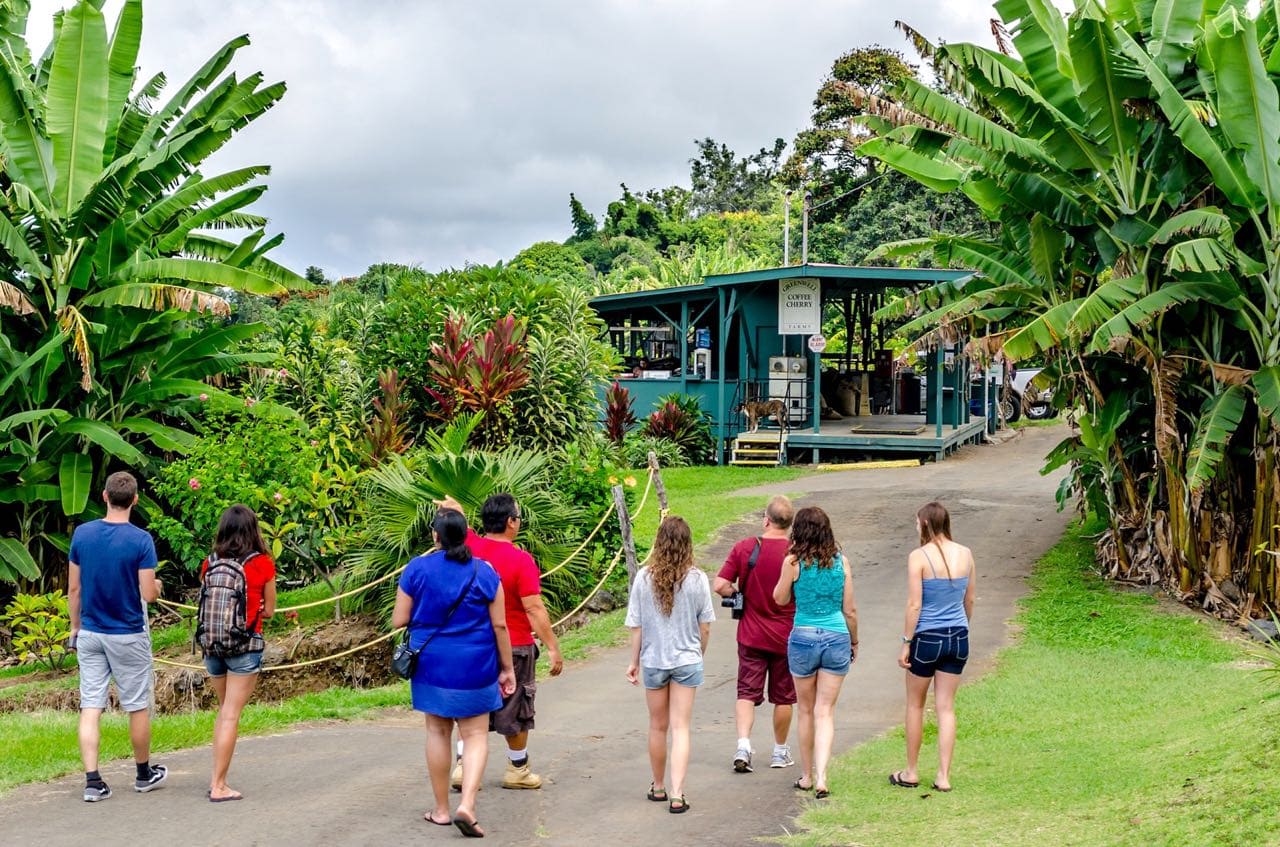 BIG LIST of Kona Coffee Tours on the Big Island (2023)