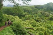 The Kuilau Ridge Trail on Kauaʻi