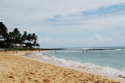 The 9 Best Spots to Find Sea Turtles in Hawaiʻi (all Islands)