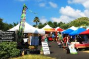 farmers market, big island, hawaii, Kona, south Kona