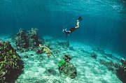 Summer is the best season for snorkeling on Maui because the waters are calm and clear. Photo by Subtle Cinematics on Unsplash