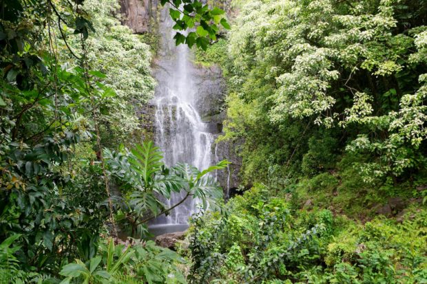 Road to Hana (Maui): DIY Planning Guide with Popular sights, stops,