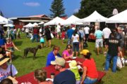 Waimea town farmers market